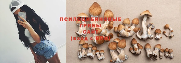 дживик Верея