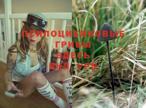 дживик Верея